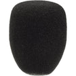 Rode WS5 windshield