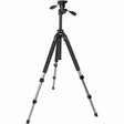 Slik Pro 700 DX tripod kit with 3-way pan-and-tilt head