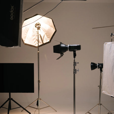 softbox studio portrait light  25526512