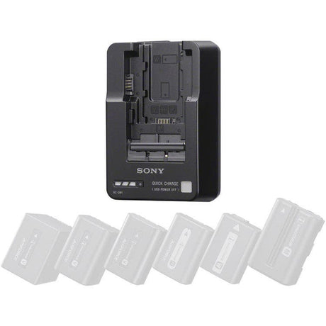 Sony BCQM1 Battery Charger - additional product view