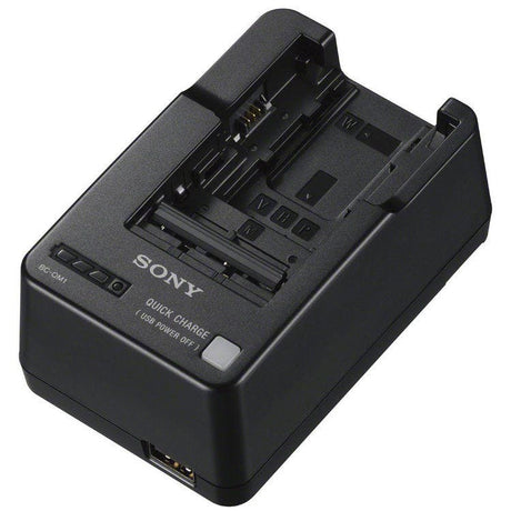 Sony BCQM1 battery charger