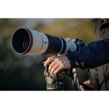 Sony FE 100-400mm f/4.5 GM OSS LENS - additional product view