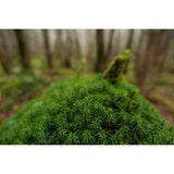 Sony FE 16mm F1.8 G Lens - additional product view