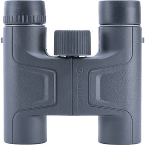 Vanguard Vesta 10x25 binoculars
