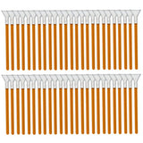 VisibleDust DHAP Orange 1.0x Vswabs, 50-pack